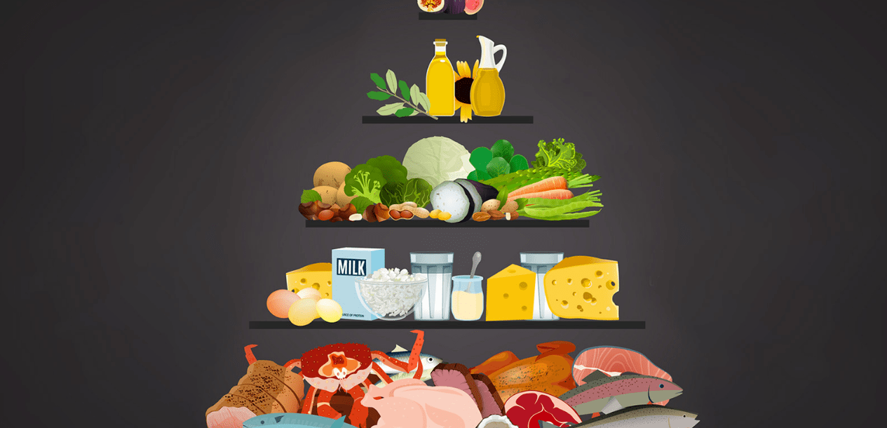 Dieta białkowa